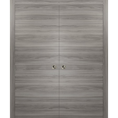 Sartodoors Barn Interior Door, 24" x 80", Gray PLANUM10DP-GANP-48